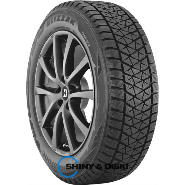 Купити шини Bridgestone Blizzak DM-V2 255/60 R19 108S